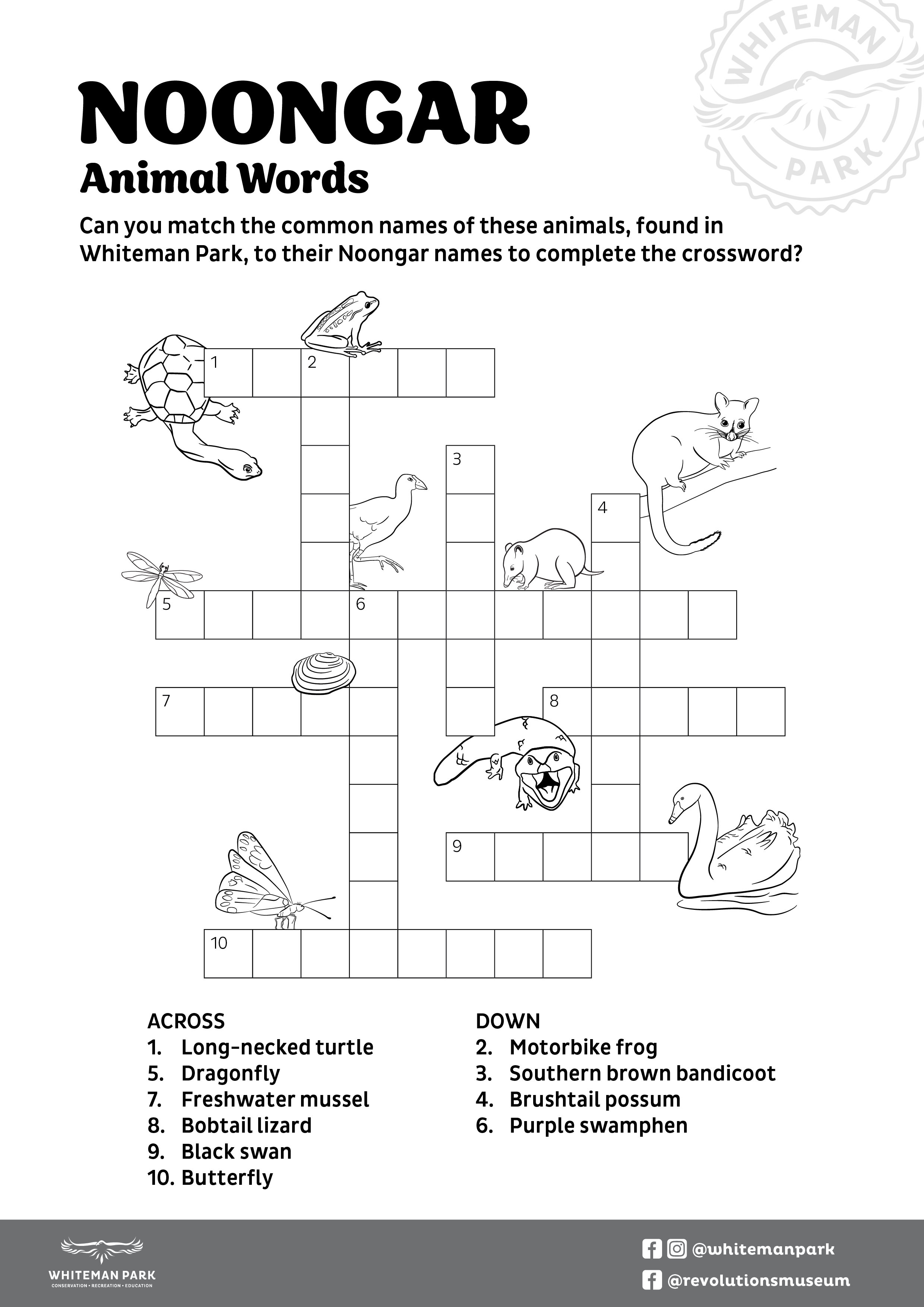 Noongar Words Crossword Whiteman Park_THUMB }}