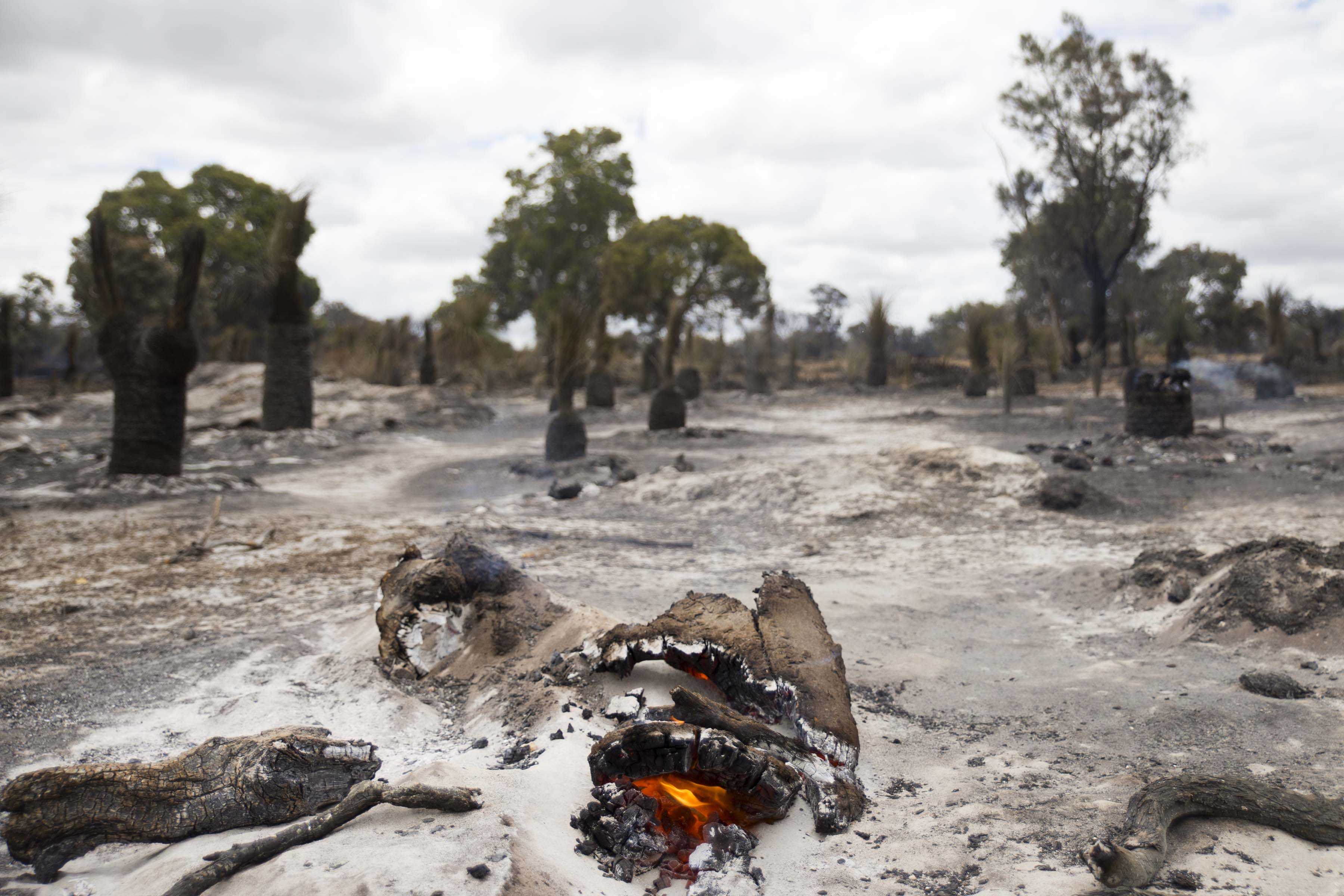 Whiteman Park fire aftermath WEB }}