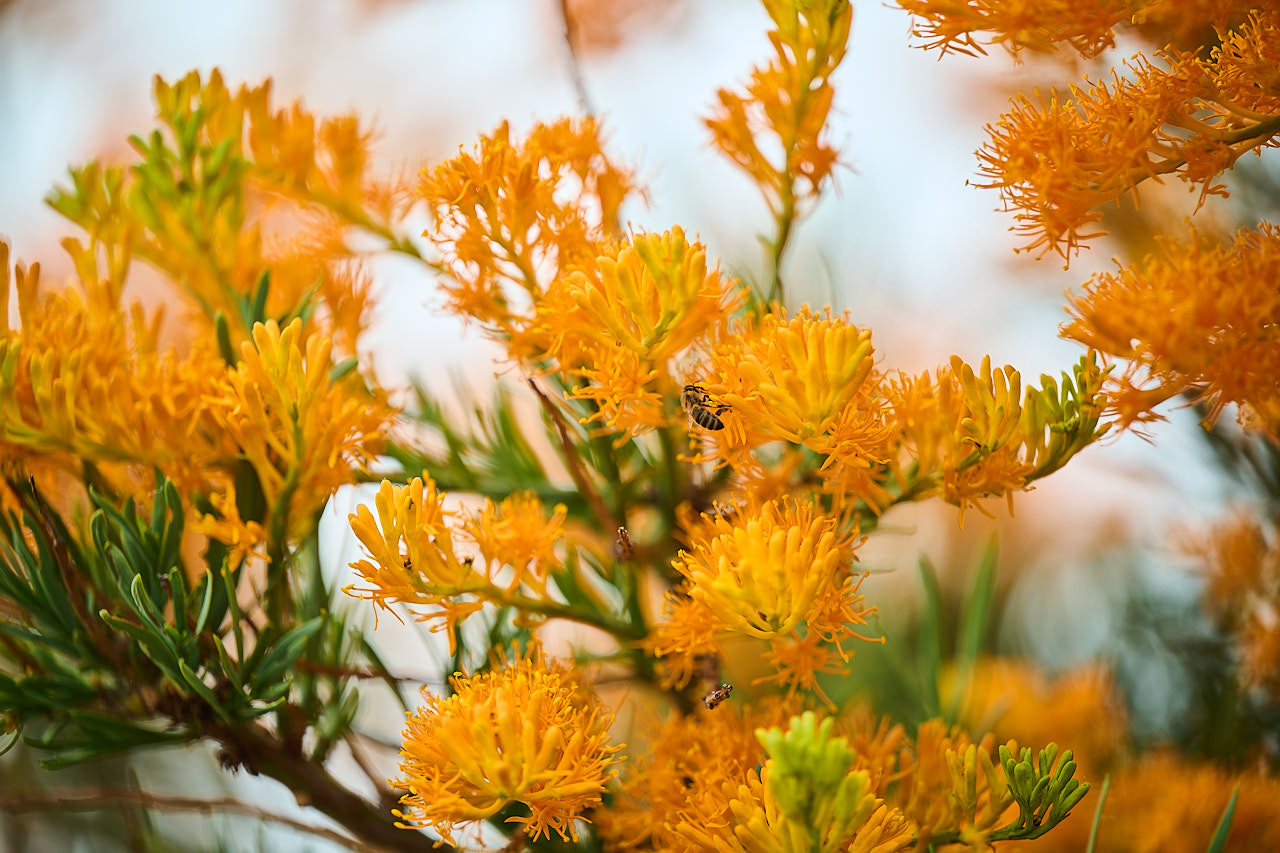 035 WP VOLUNTEERS 231205 DC24891 }}