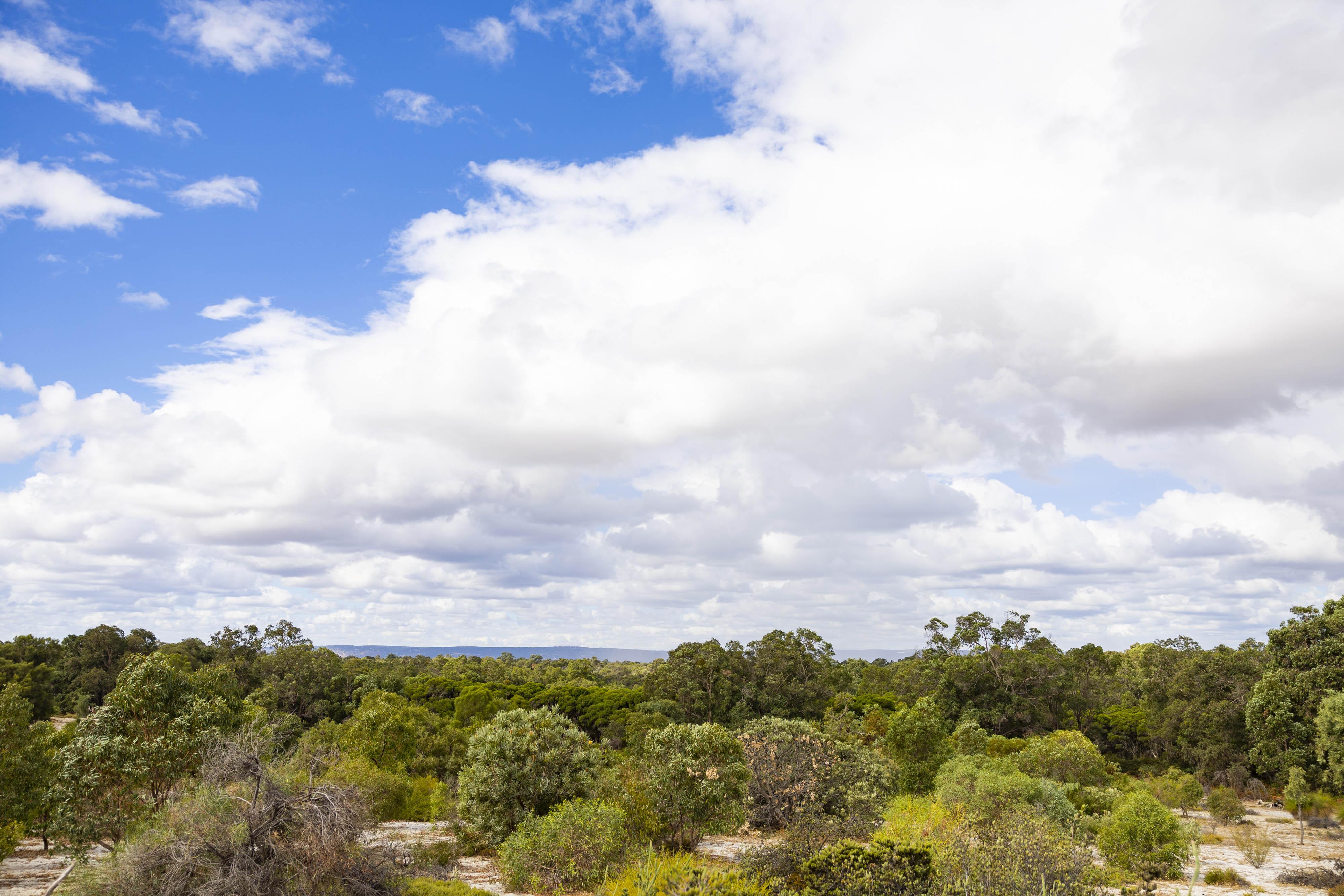Whiteman Park bushand WEB BANNER }}