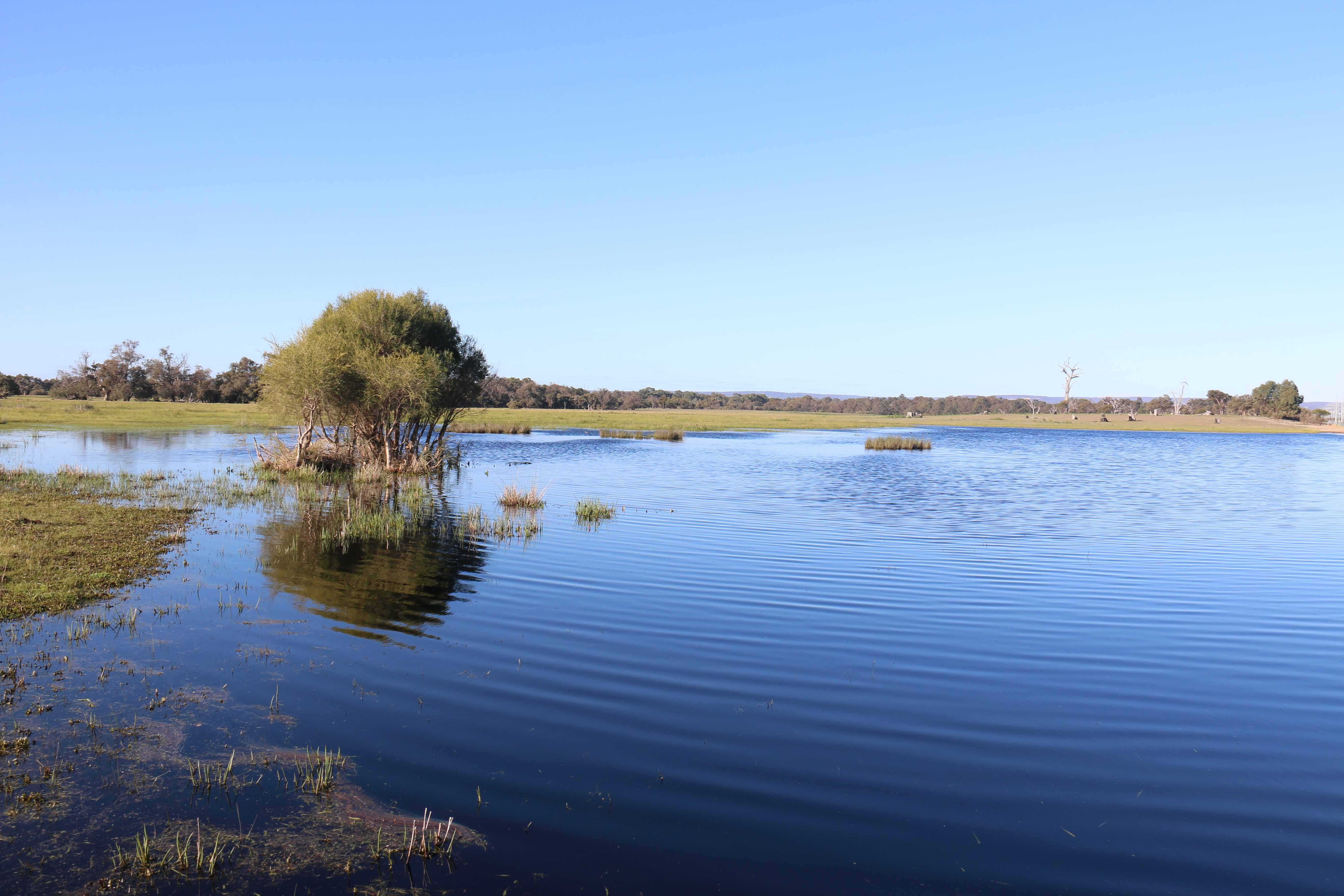 Lake Marshall is a seasonal surface expression of the Gnangara Water Mound }}