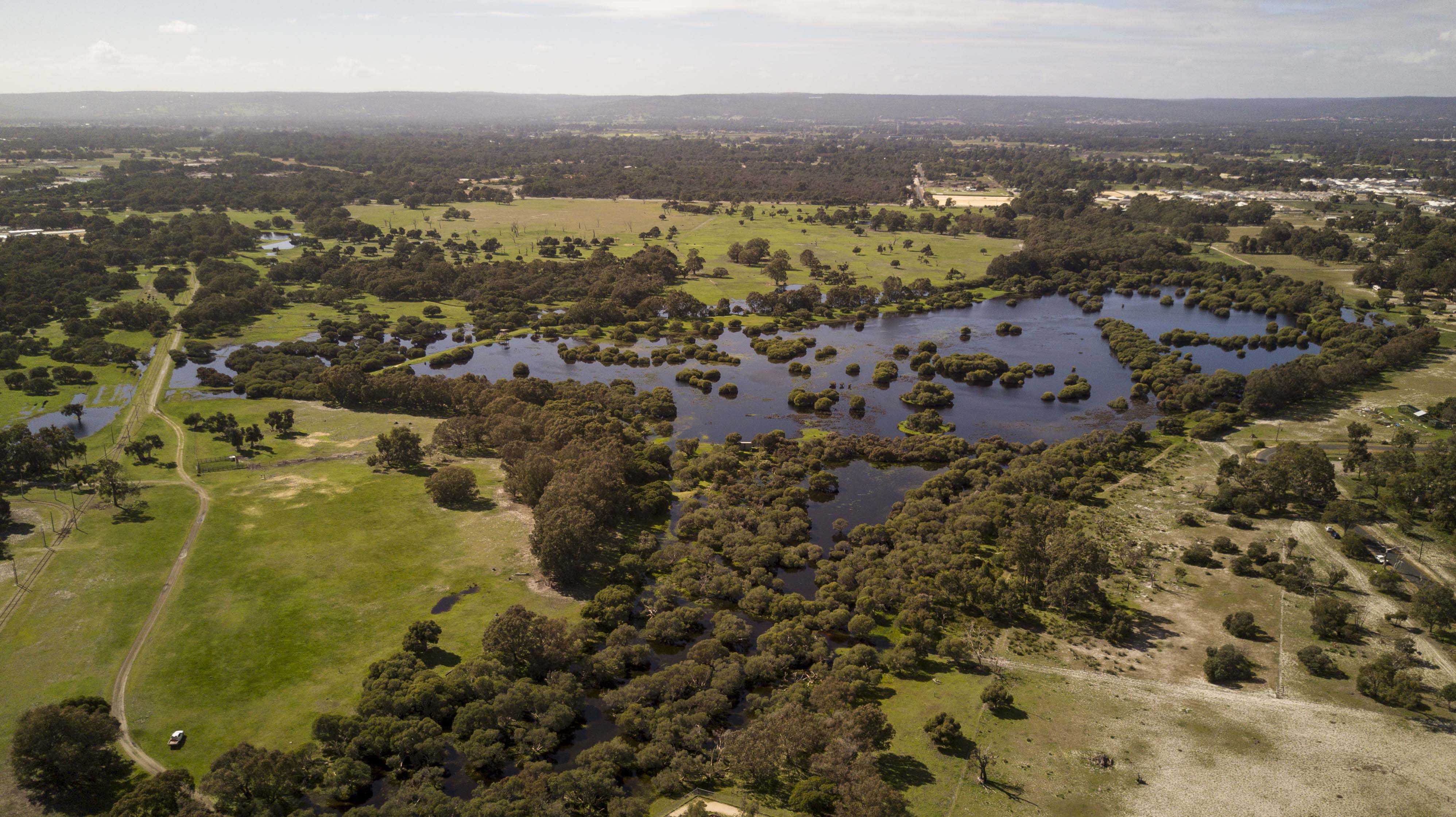 Whiteman Park wetlands Horse Swamp aerial }}