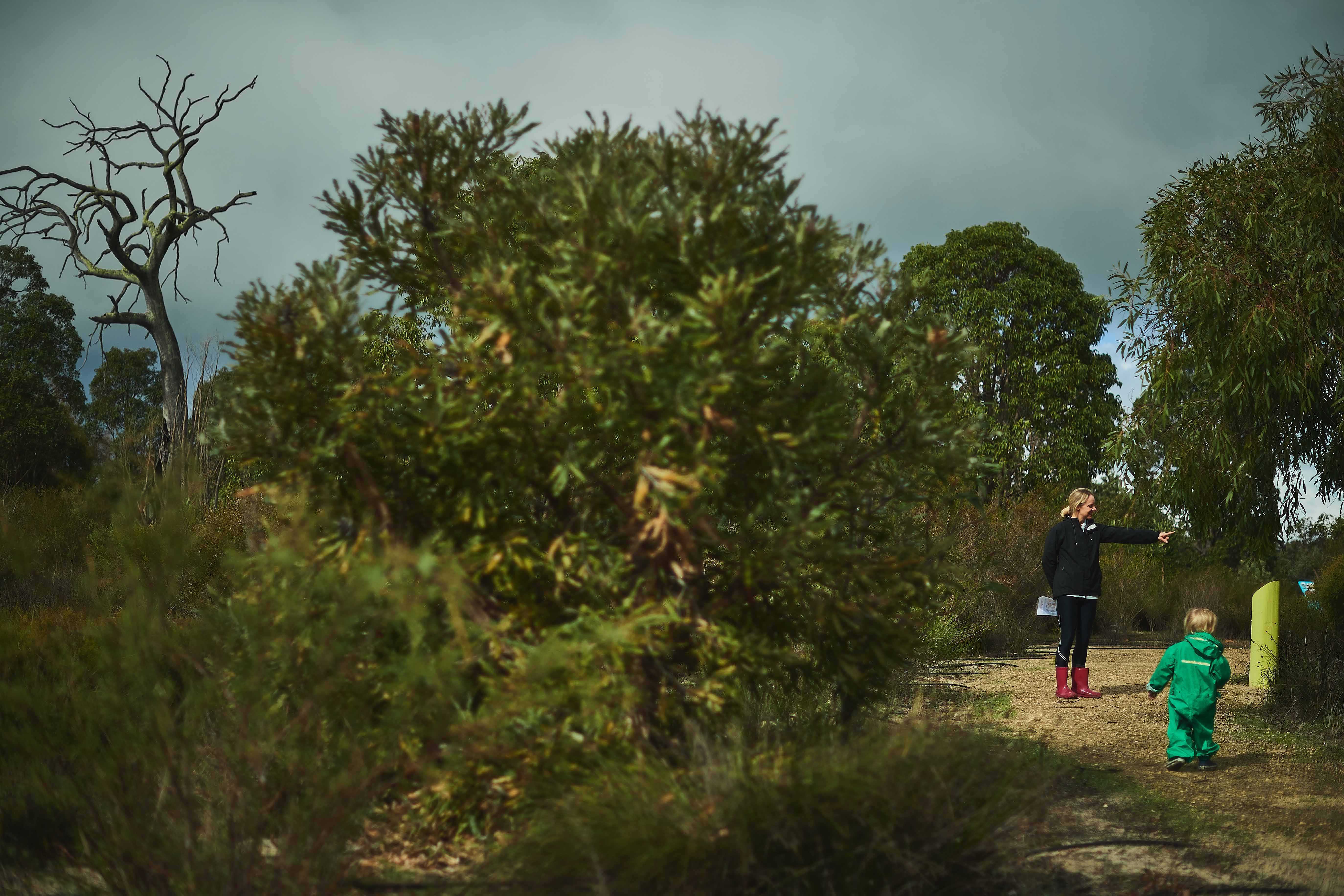 2021 Childrens Forest in winter }}