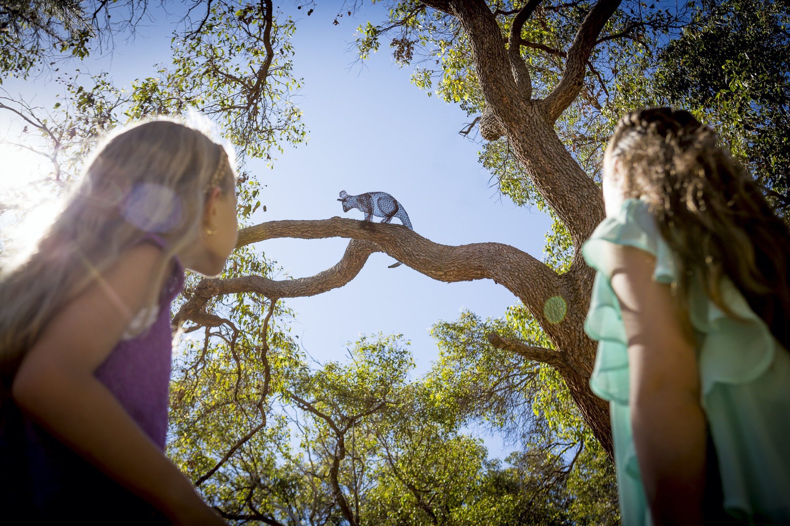 Children's Forest - Stage 7 - girls looking up at possum }}