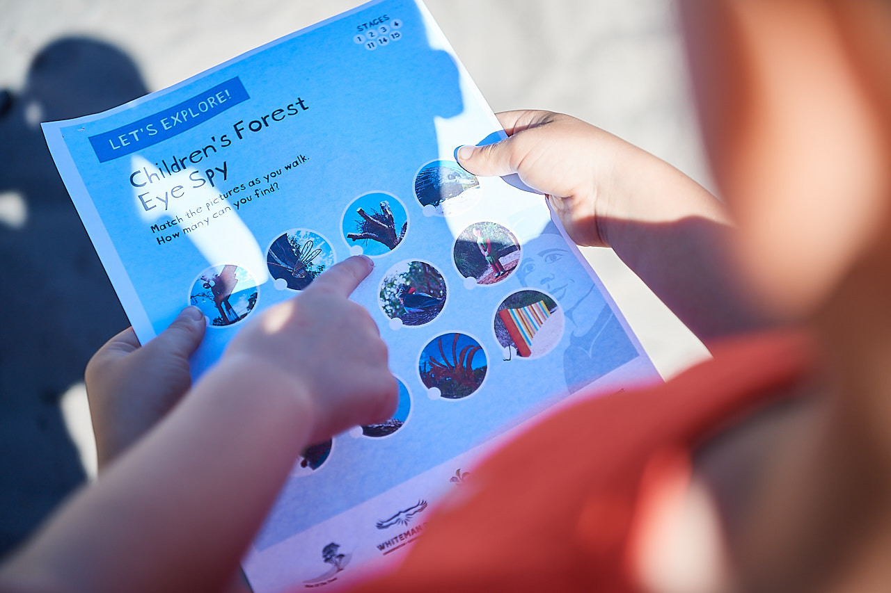 Exploring the Children's Forest - Eye Spy activity sheet }}