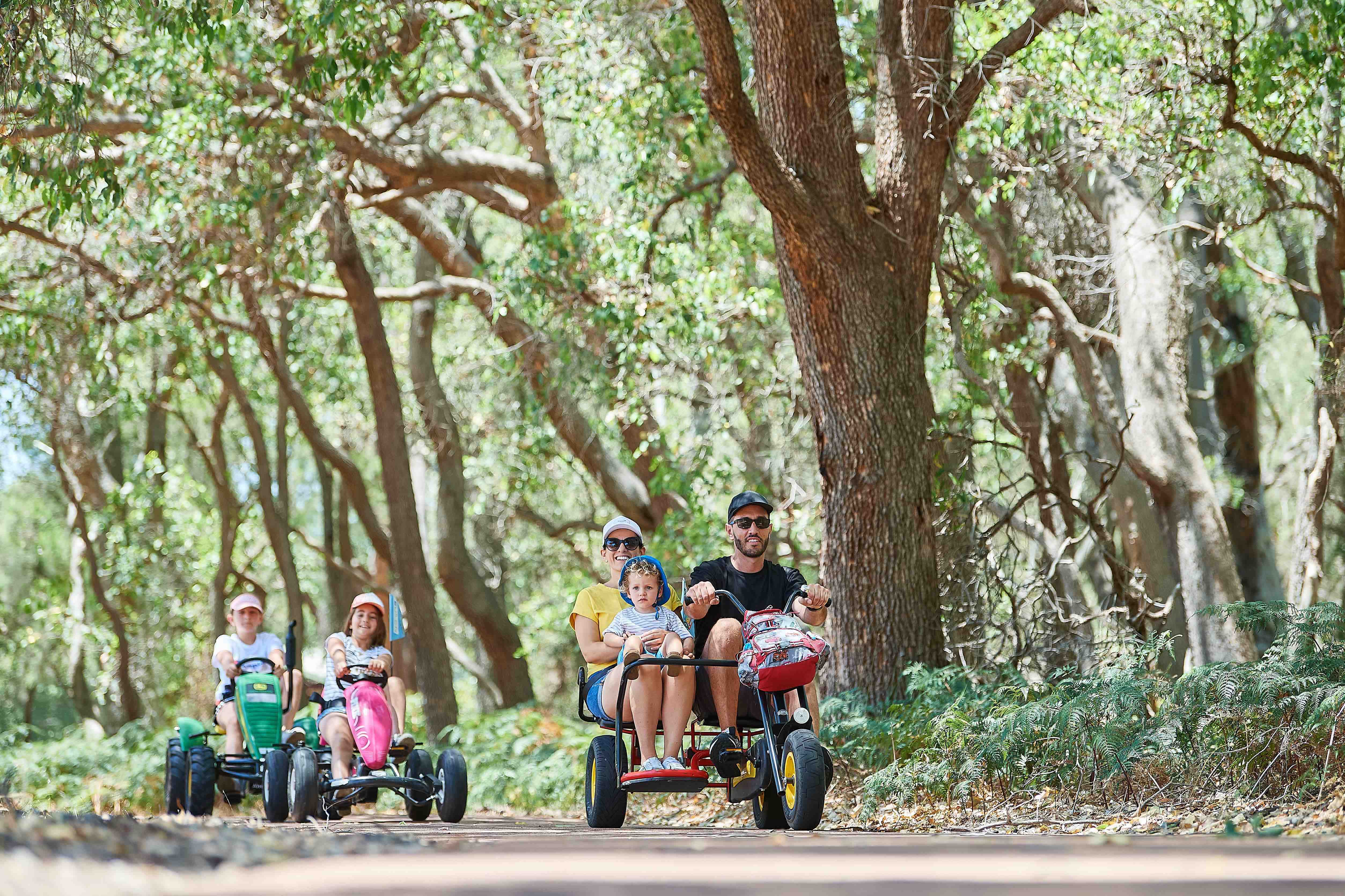 180 WHITEMAN PARK Pedal Play family WEB }}