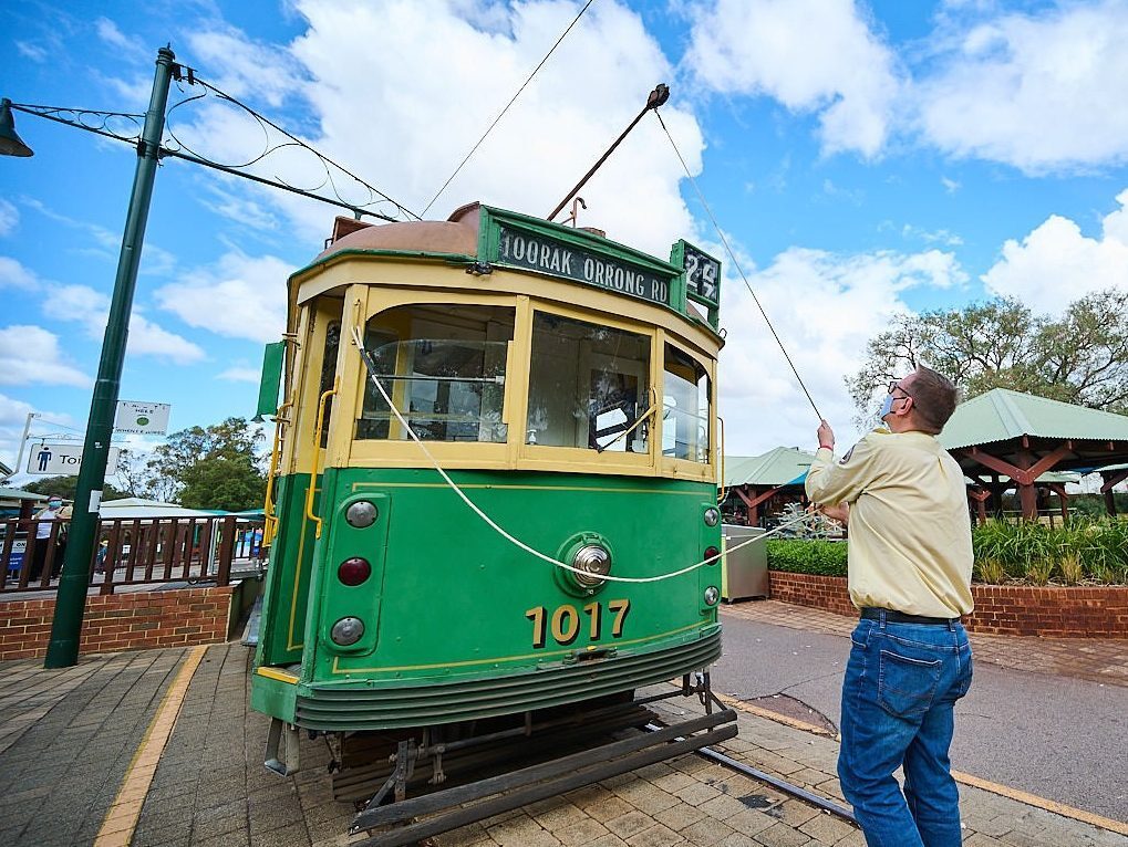 Whiteman Park Transport Heritage electric tram rides changing poles 135 }}