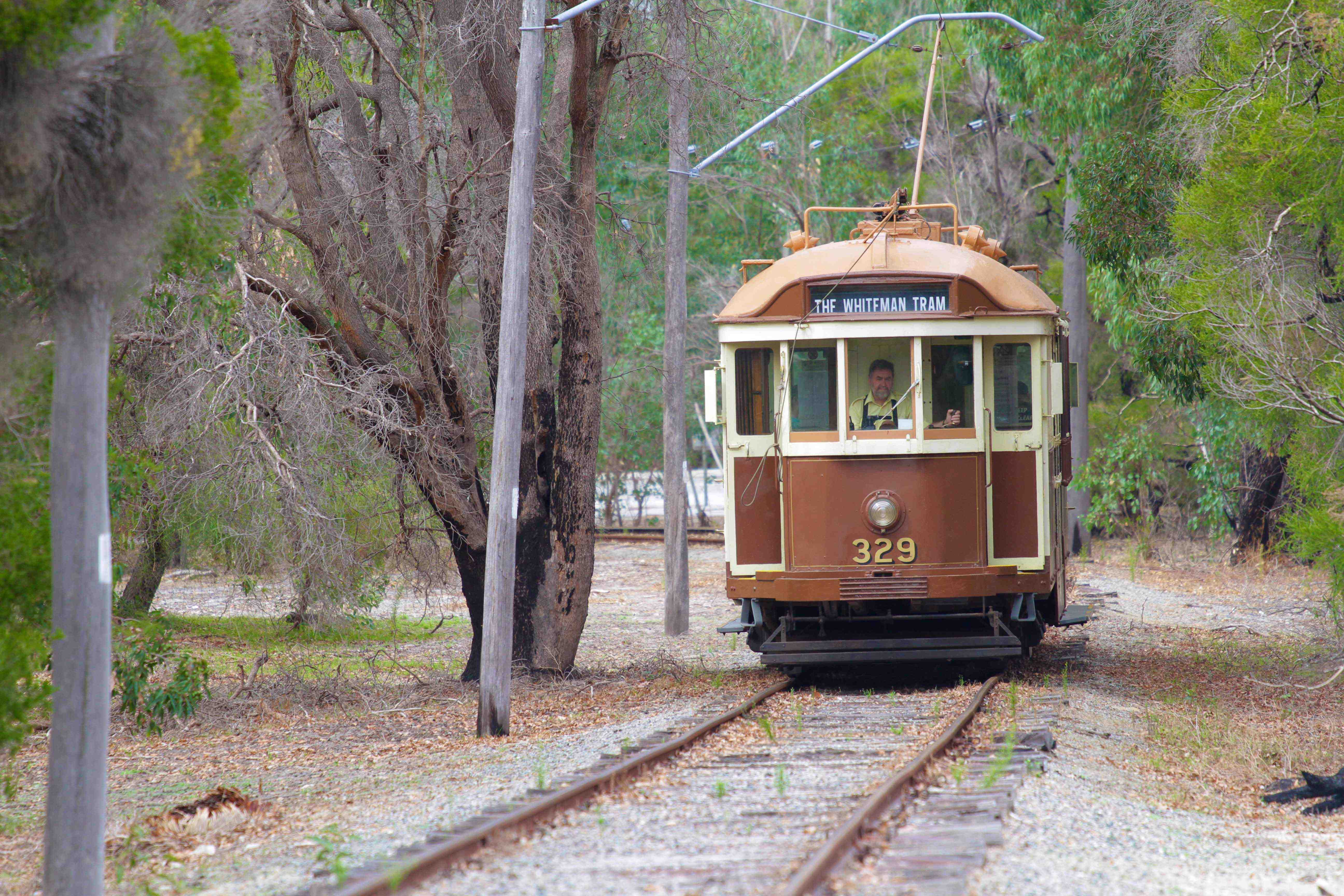 Whiteman Park heritage electric tram through bushland 1 MB }}