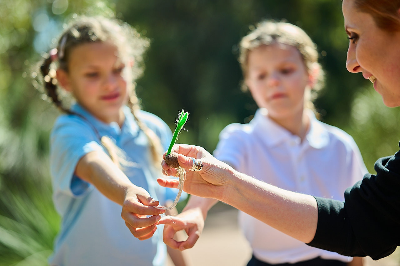 Education-WhitemanPark-Science-seedling01 }}