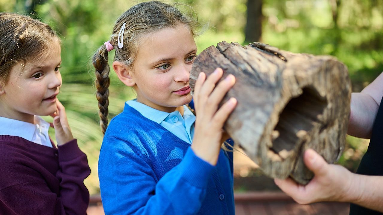 273 WP EDU REV 231004 DC13474 }}