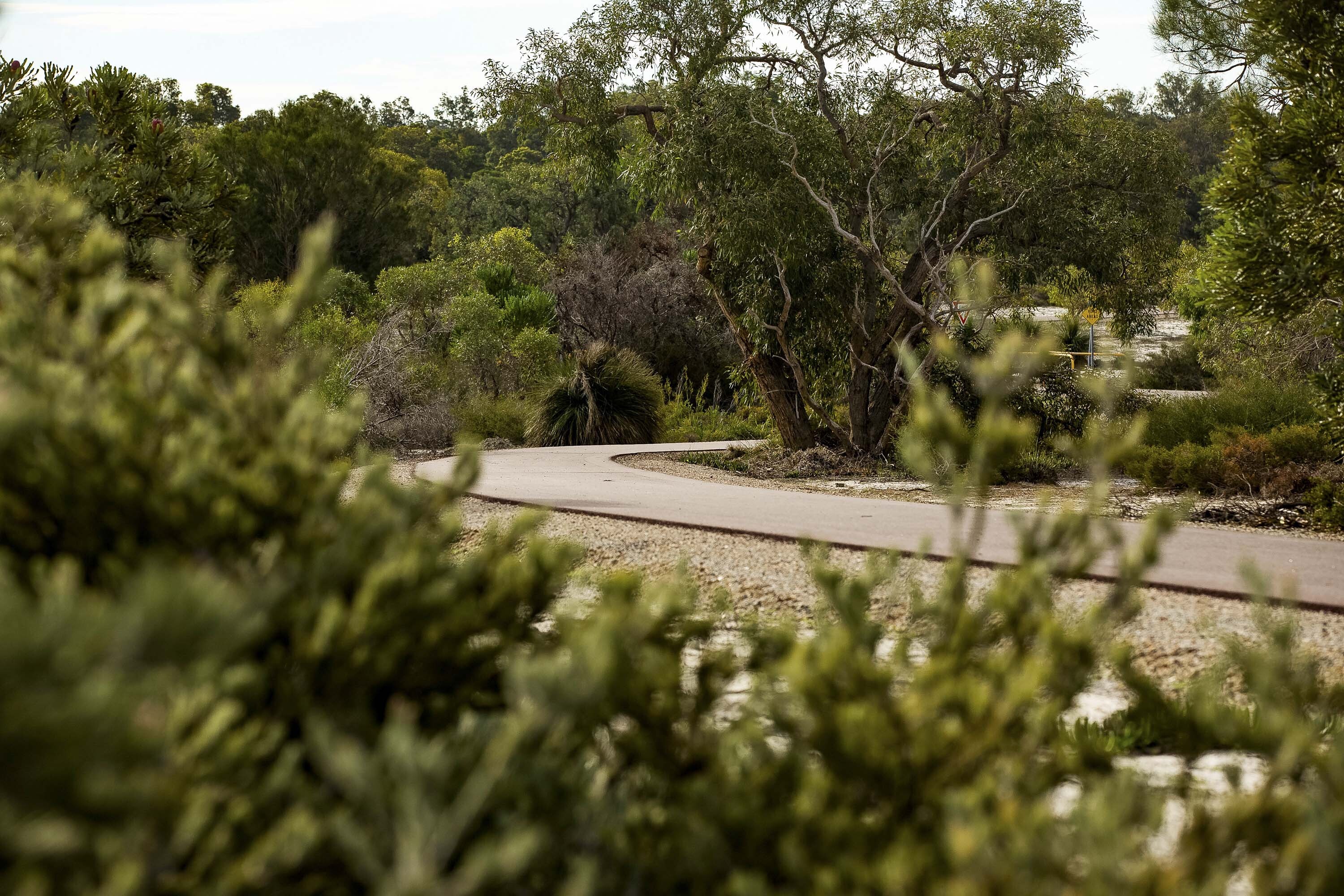 Paths Lookout loop Whiteman Parkt 2020 WEB2 }}