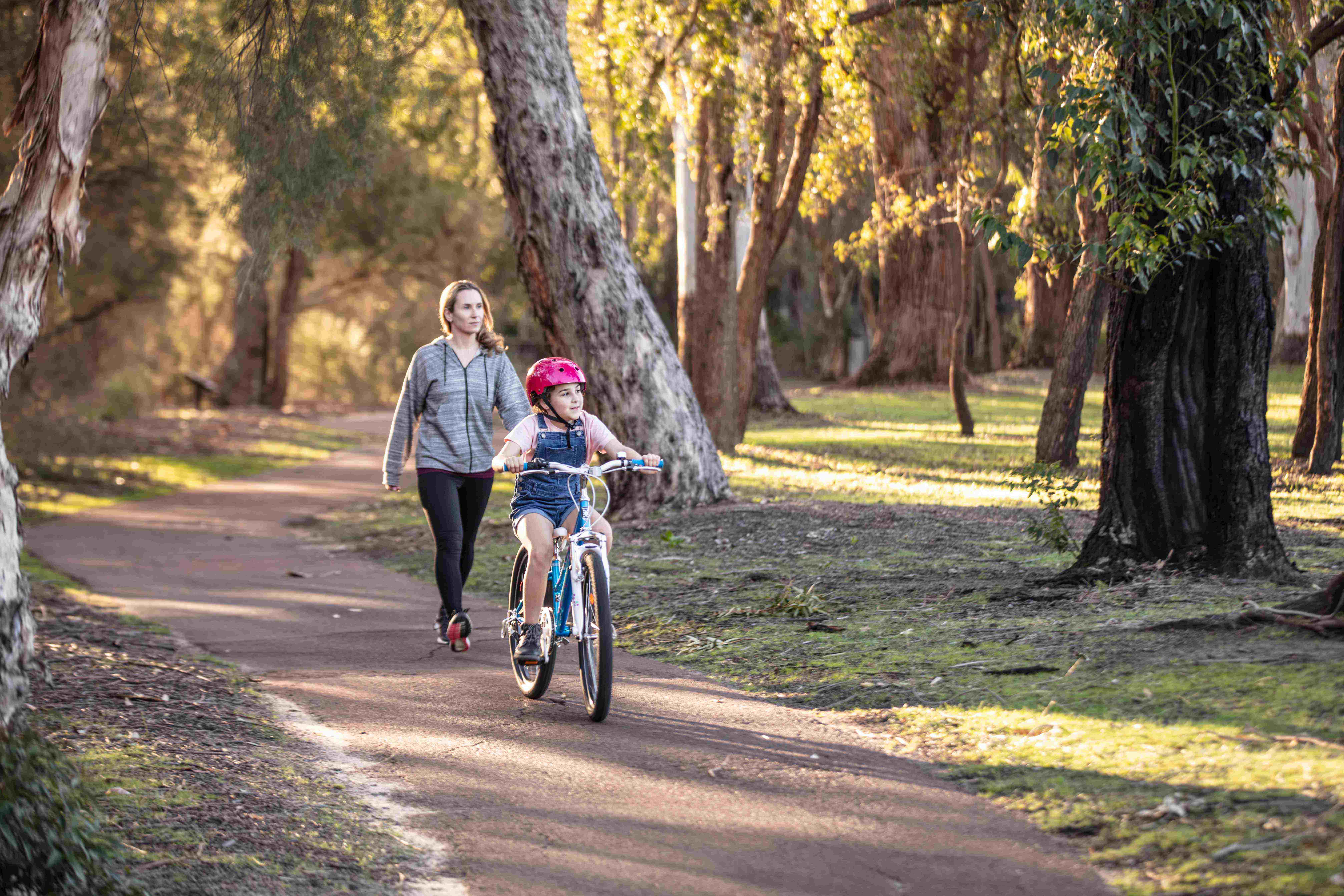 Facilities Bike paths afternoon light }}