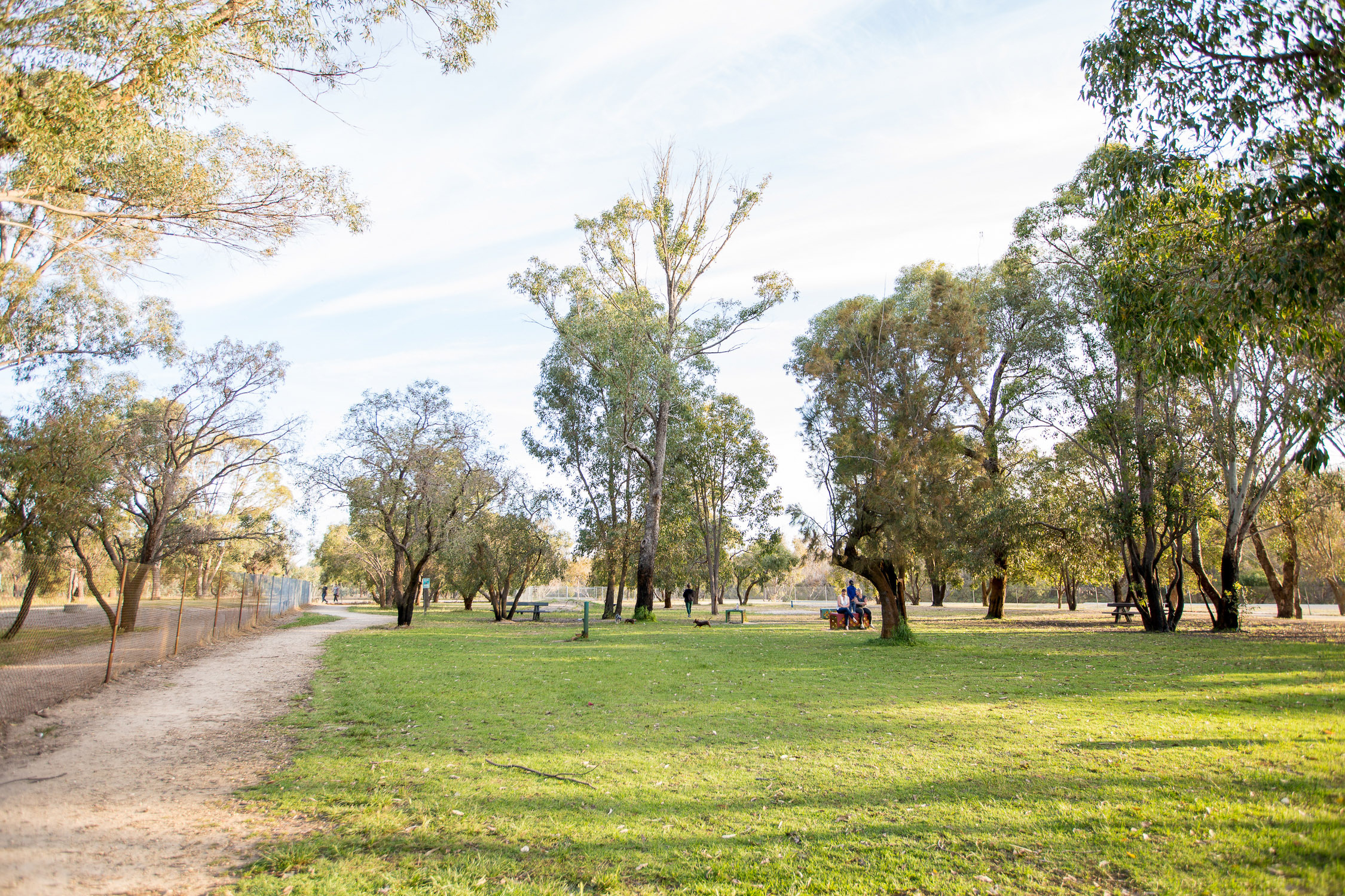 WP 259 Dog Park wide }}