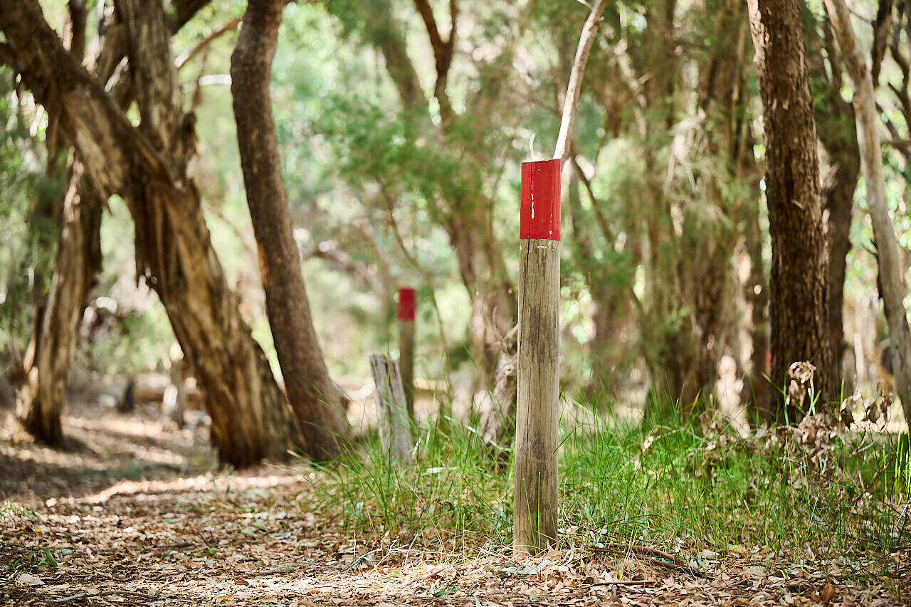 Gooloorto trail Whiteman Park 036 WEB }}