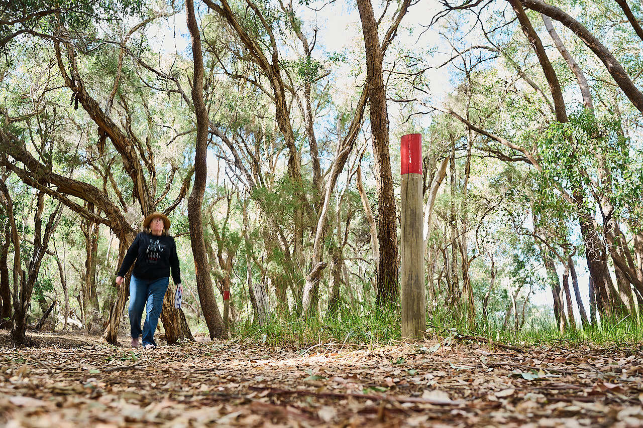 Gooloorto trail Whiteman Park 039 WEB }}