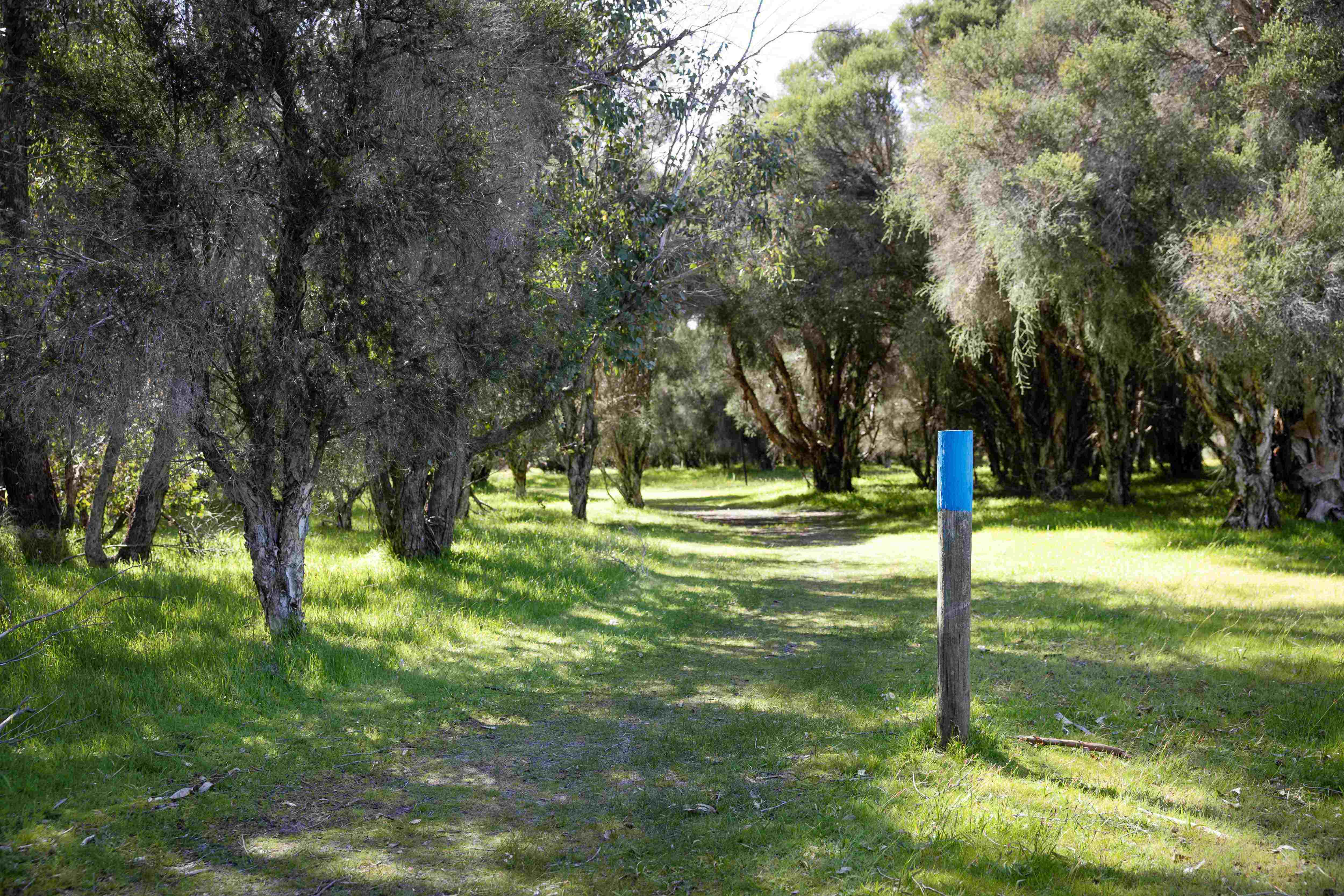 Whiteman Park Werrillyiup Trail winter2024 }}