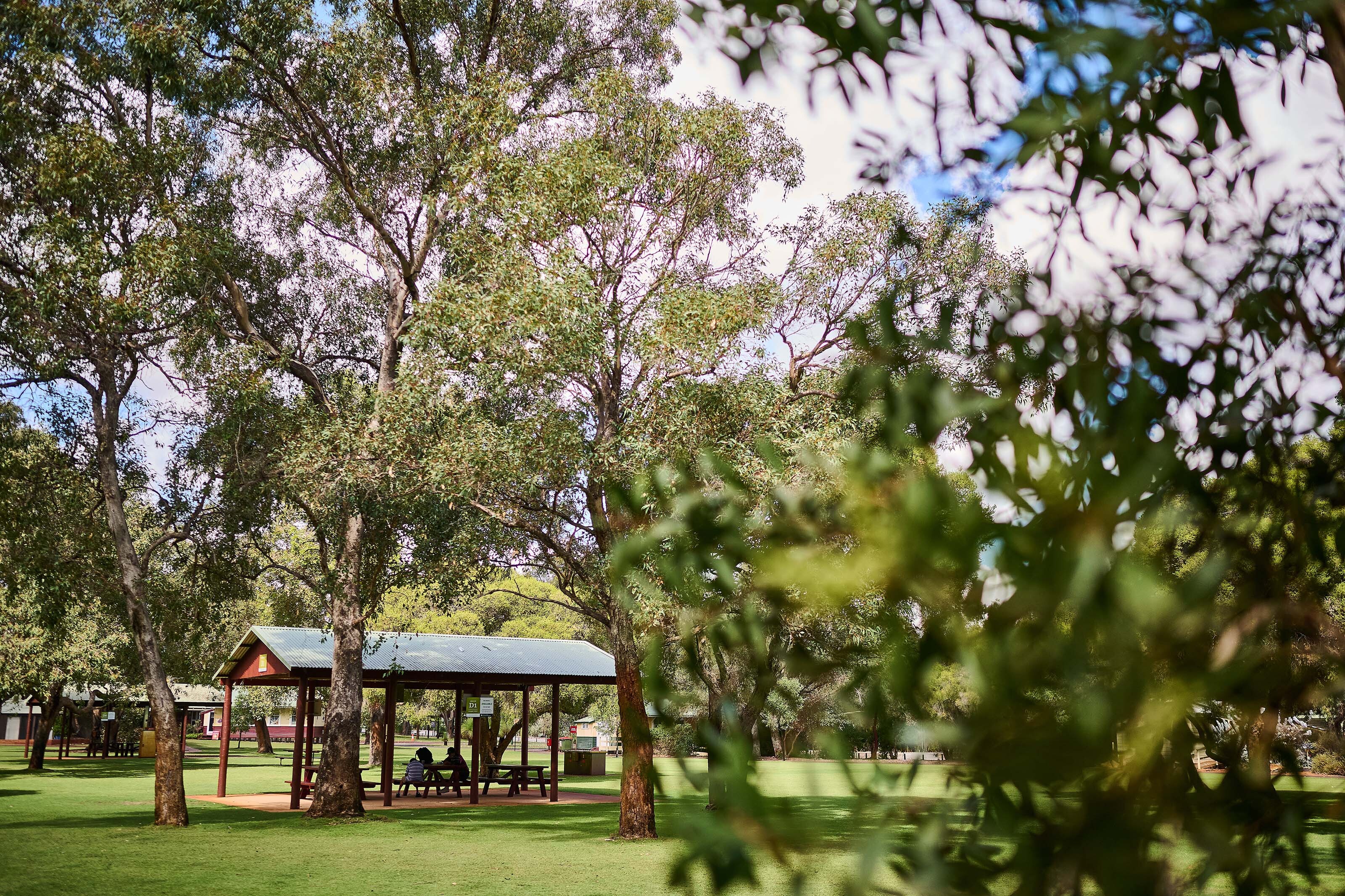 246 Gooloorto Shelter }}