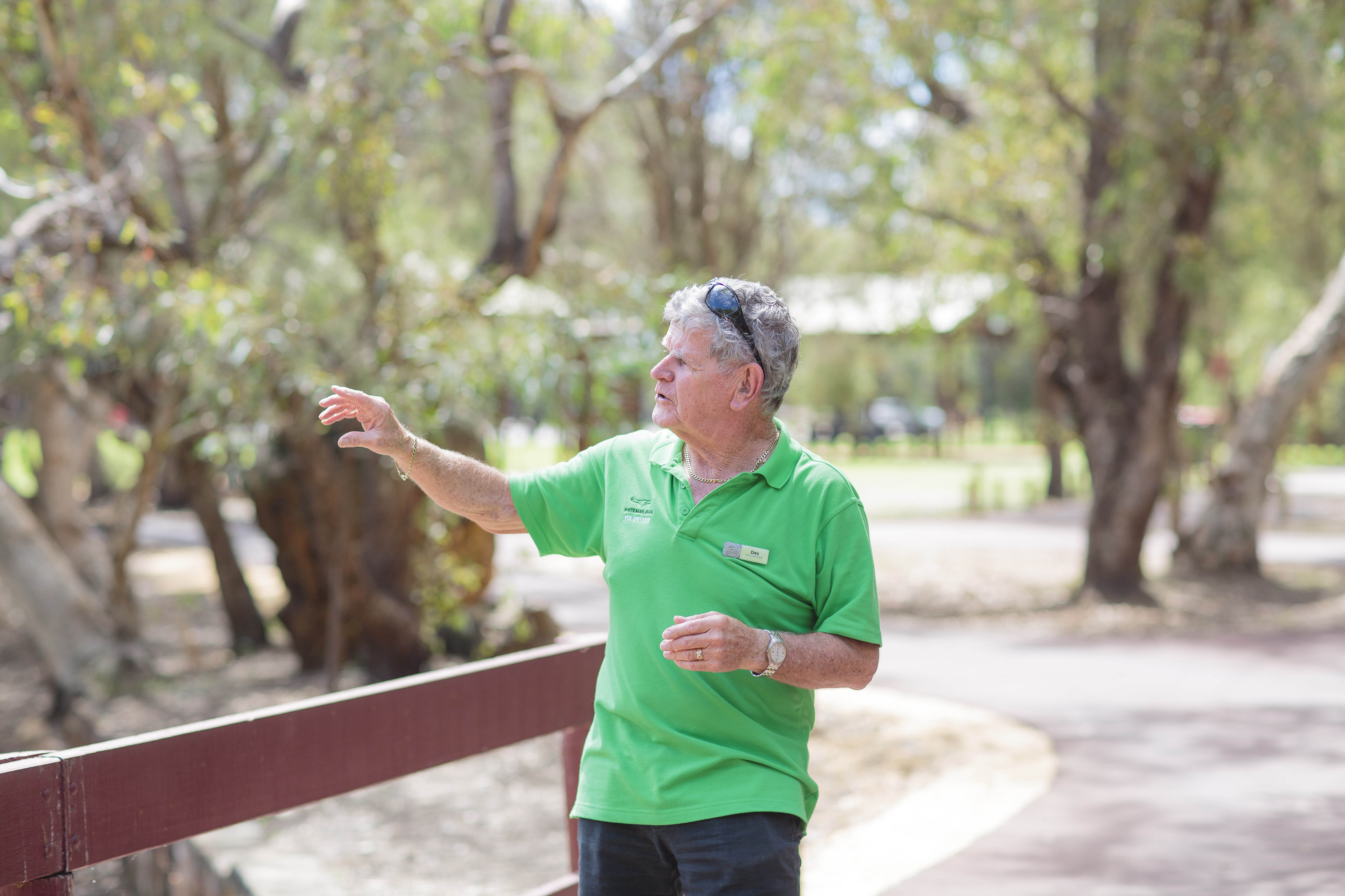 Whiteman Park 172 volunteer tour guide }}