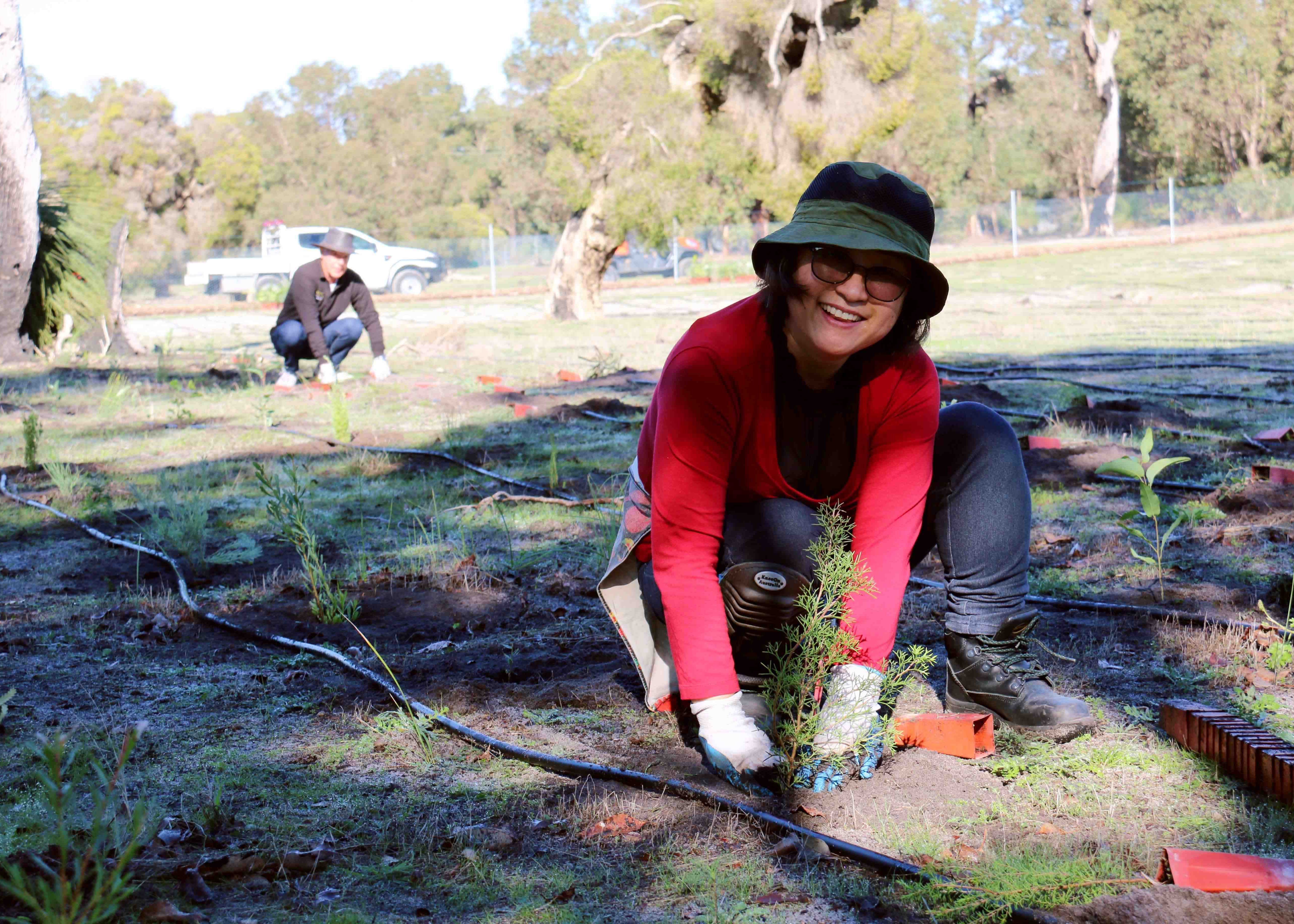 Whiteman Park Volunteers Enviro Planting volunteers }}